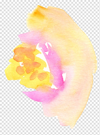 Watercolor painting , watercolor flower transparent background PNG clipart