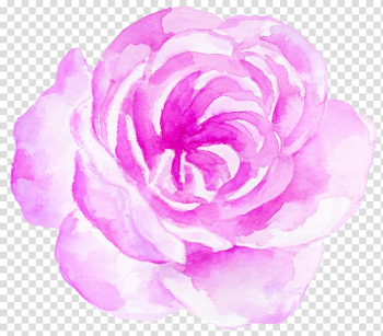 Watercolor painting , Watercolor Flowers Flowers transparent background PNG clipart