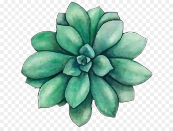 Watercolor painting Watercolor: Flowers Succulent plant Drawing - green cactus bloom 