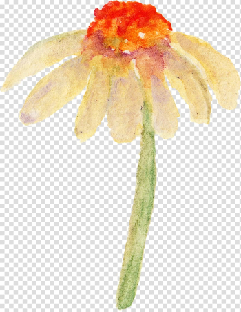Watercolor painting, Watercolor flowers transparent background PNG clipart Watercolor painting, Watercolor flowers transparent background PNG clipart