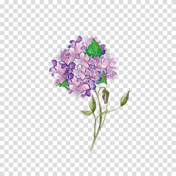 Watercolor painting, Watercolor flowers transparent background PNG clipart Watercolor painting, Watercolor flowers transparent background PNG clipart