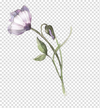 Watercolor painting, Watercolor flowers transparent background PNG clipart Watercolor painting, Watercolor flowers transparent background PNG clipart