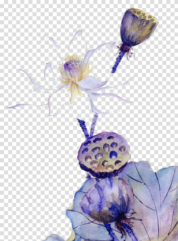 Watercolor painting , Watercolor lotus transparent background PNG clipart Watercolor painting , Watercolor lotus transparent background PNG clipart