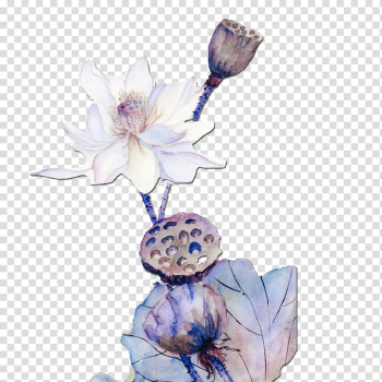 Watercolor painting , Watercolor lotus transparent background PNG clipart Watercolor painting , Watercolor lotus transparent background PNG clipart