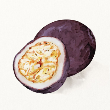 Watercolor passion fruit illustration, fruit | Free Photo Illustration - rawpixel