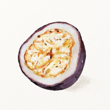Watercolor passion fruit illustration, fruit | Free Photo Illustration - rawpixel