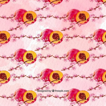 Watercolor pattern of apricots Watercolor pattern of apricots