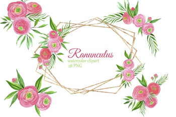 Watercolor pink ranunculus bouquets Watercolor pink ranunculus bouquets