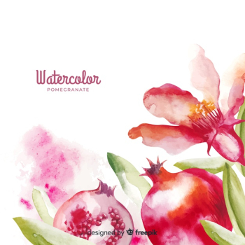 Watercolor pomegranate background Watercolor pomegranate background
