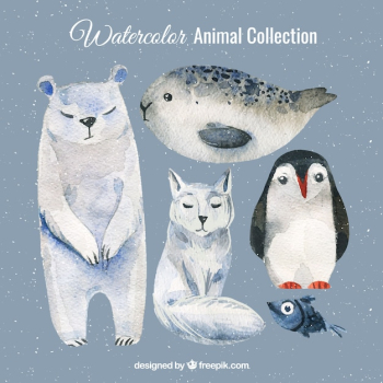 Watercolor set of polar animals Watercolor set of polar animals