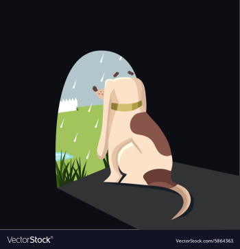 Watercolor Set vector image