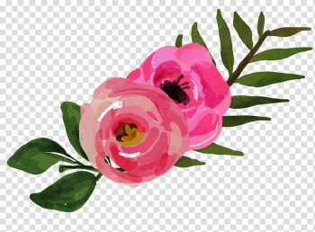 Watercolor vintage flowers , pink petaled flowers illustration transparent background PNG clipart