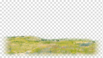 Watercolor Watercolor painting , nature watercolor transparent background PNG clipart