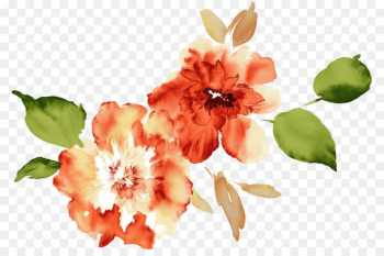 Watercolour Flowers Paper Watercolor painting - Watercolor Peony 