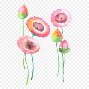 Watercolour Flowers Watercolor: Flowers Painting - Watercolor flowers background image 