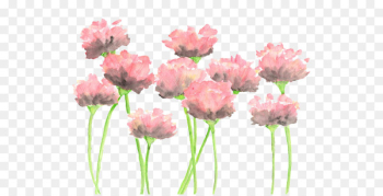 Watercolour Flowers Watercolor: Flowers Watercolor painting Pink flowers - painting 