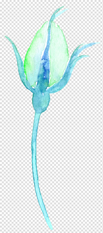 Watercolour Flowers Watercolor: Flowers Watercolor painting, Watercolor Flowers Flowers transparent background PNG clipart