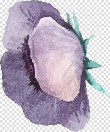 Watercolour Flowers Watercolor Landscape Watercolor painting, Watercolor flowers transparent background PNG clipart