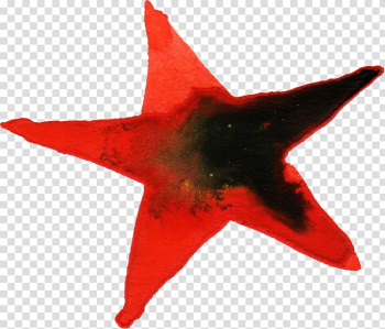 Watercolour Flowers Watercolor painting Carpet Star, watercolor star transparent background PNG clipart