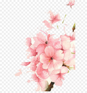 Watercolour Flowers Watercolor painting Drawing - Watercolor flowers 