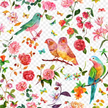 Watercolour Flowers Watercolor painting Drawing - Watercolor flowers 