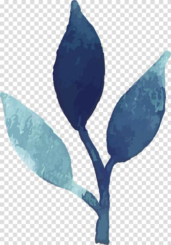 Watercolour Flowers Watercolor painting, Watercolor flowers transparent background PNG clipart
