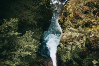 Waterfall From Above Waterfall From Above