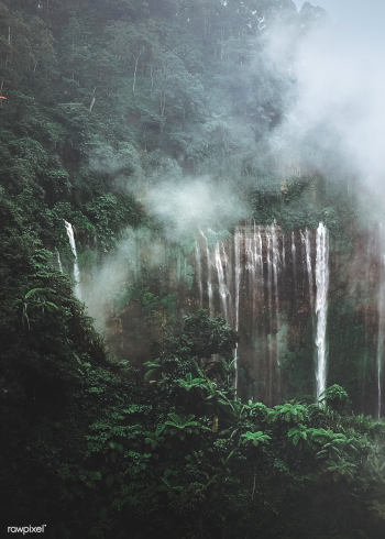 Waterfall in nature | Free stock photo - 457080 Waterfall in nature | Free stock photo - 457080