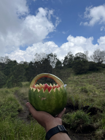 Watermelon