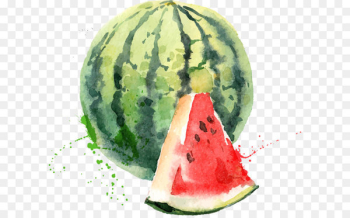 watermelon 
