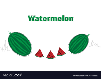 watermelon