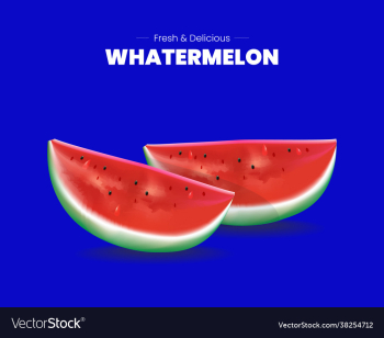 watermelon design fruits design watermelon design fruits design