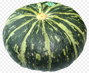 Watermelon Figleaf Gourd Calabaza Pumpkin - Sweet Pumpkin Watermelon Figleaf Gourd Calabaza Pumpkin - Sweet Pumpkin