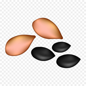 Watermelon seed oil Clip art - Watermelon seeds pumpkin seeds 