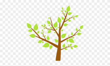 We Sell Supplements, Natural Health Books, Hundreds - Acercamiento A Las Ciencias Naturales Png