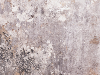 Weathered wall texture Weathered wall texture