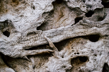 Weathered Wood Weathered Wood