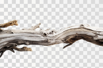 weathered wood branch, png transparent background