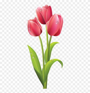 Web Design Clip Art Spring And Pink Tulips - Tulips Flower Png Web Design Clip Art Spring And Pink Tulips - Tulips Flower Png
