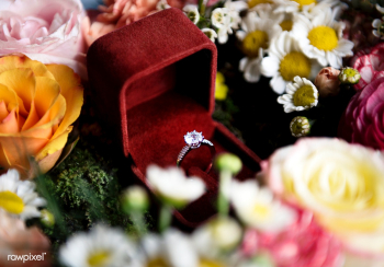 Wedding arrangement ceremony | Free stock photo - 101175 Wedding arrangement ceremony | Free stock photo - 101175