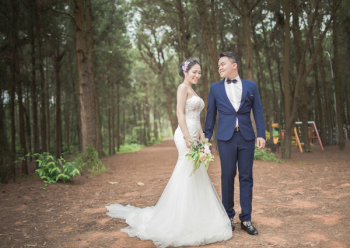 Wedding Couples Between Tall Trees Wedding Couples Between Tall Trees