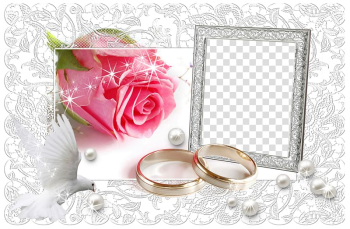 Wedding Frames Bridegroom, wedding transparent background PNG clipart Wedding Frames Bridegroom, wedding transparent background PNG clipart