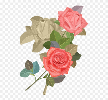Wedding Invitation Beach Rose Flower Euclidean Vector - Rose Wedding Invitation Beach Rose Flower Euclidean Vector - Rose