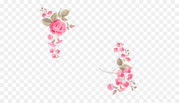 Wedding invitation Flower Greeting card Illustration - Rose decoration 