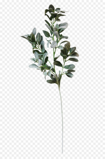Wedding invitation Paper Convite White wedding - eucalyptus leaf 