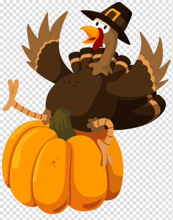 Wedding invitation Turkey Thanksgiving Greeting card Birthday, Interesting steadily Thanksgiving turkey transparent background PNG clipart