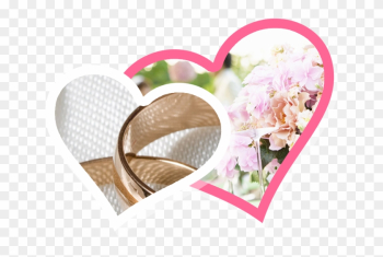 Wedding Slide - Wedding Photography Wedding Slide - Wedding Photography