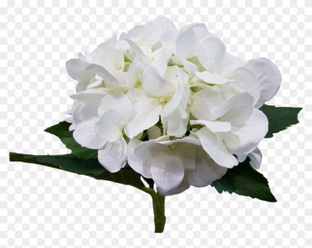 Wedding White Hydrangea Artificial Flowers Quality - Artificial Flower Wedding White Hydrangea Artificial Flowers Quality - Artificial Flower