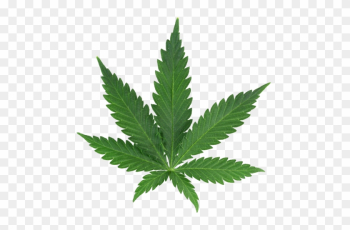 Weed Tumblr - Weed Leaf