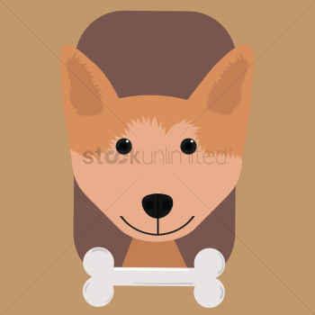 Welsh corgi dog with bone